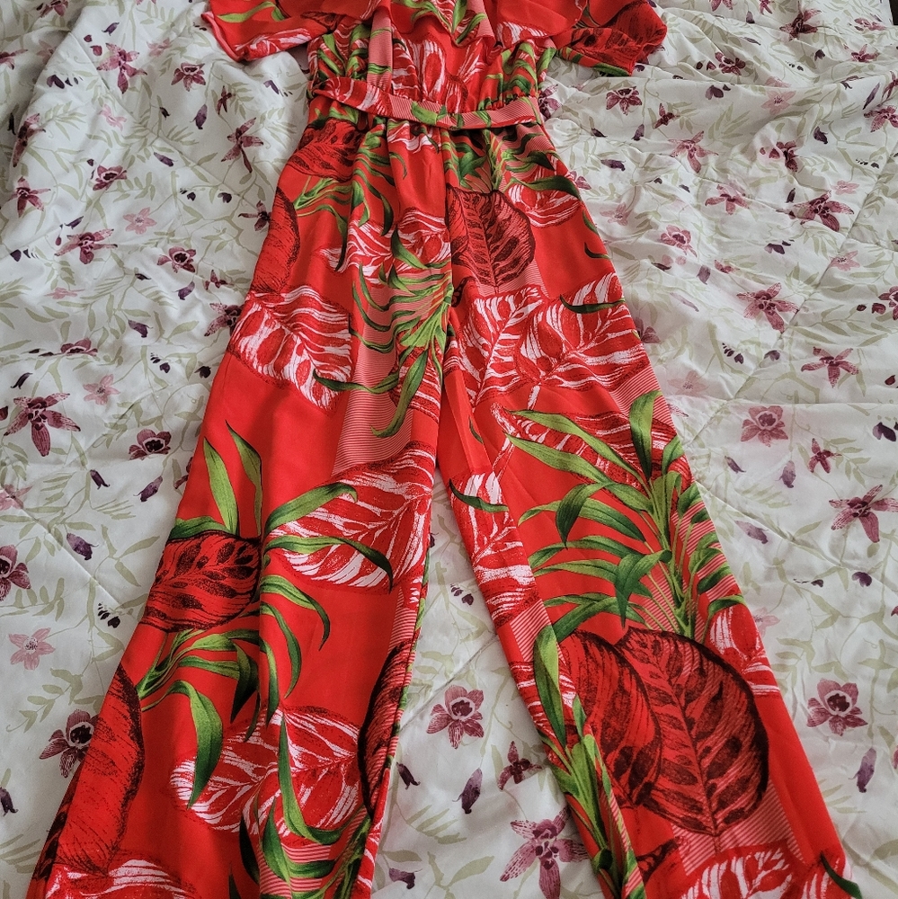 Clothes - Picture 3 of 4